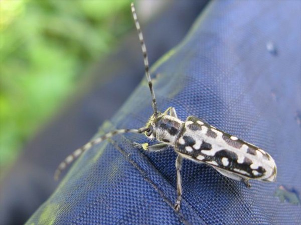 Матрос на судне